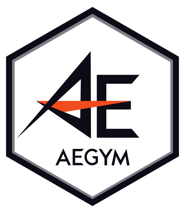 AEGYM：ログイン